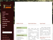 Tablet Screenshot of naturapaintball.com